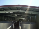 Canopy