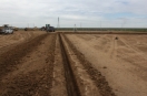 Trenching